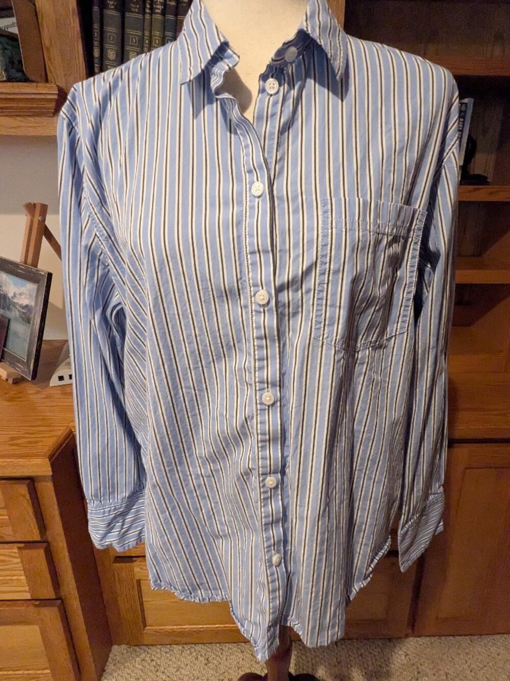 J.Crew Garçon Classic Fit Blue Stripe Button Down Shirt Size 12